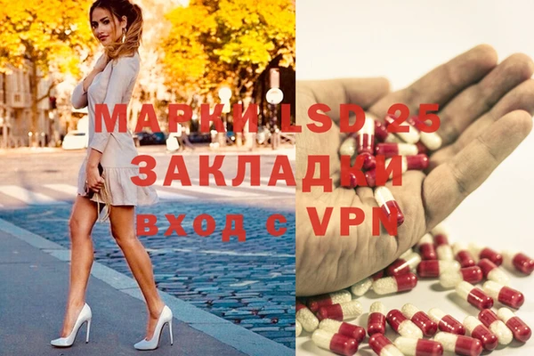 ПСИЛОЦИБИНОВЫЕ ГРИБЫ Лабытнанги