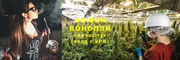 ПСИЛОЦИБИНОВЫЕ ГРИБЫ Лабытнанги