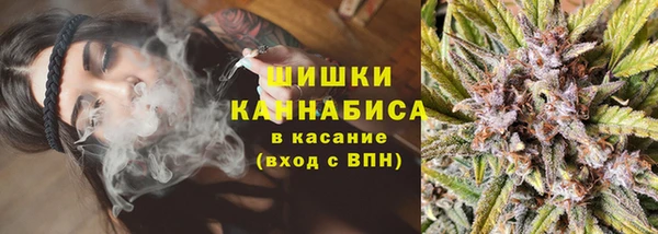 ПСИЛОЦИБИНОВЫЕ ГРИБЫ Лабытнанги