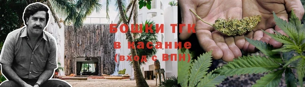 ПСИЛОЦИБИНОВЫЕ ГРИБЫ Лабытнанги