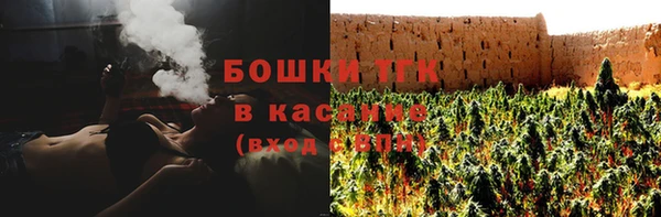 ПСИЛОЦИБИНОВЫЕ ГРИБЫ Лабытнанги