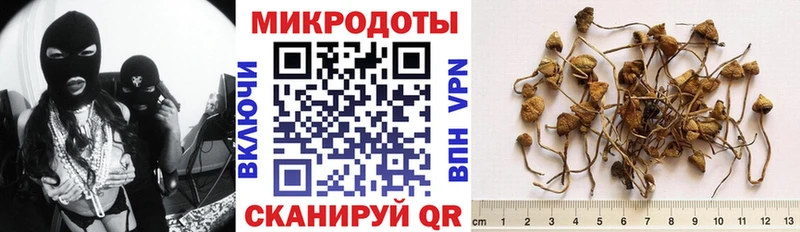как найти закладки  Волжский  shop телеграм  Галлюциногенные грибы Psilocybe 